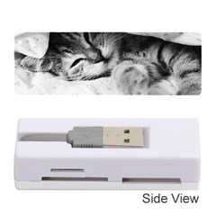 Sleepy Kitty Memory Card Reader (stick) 