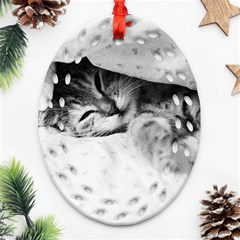 Sleepy Kitty Ornament (oval Filigree)  by trendistuff