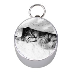 Sleepy Kitty Mini Silver Compasses