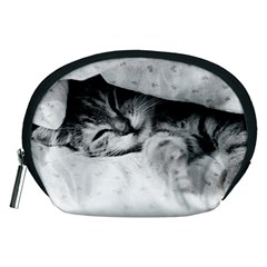 Sleepy Kitty Accessory Pouches (medium) 