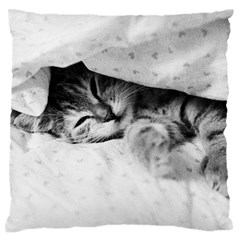 Sleepy Kitty Standard Flano Cushion Cases (one Side) 