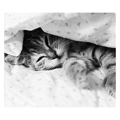 Sleepy Kitty Double Sided Flano Blanket (small) 