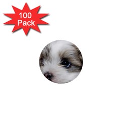 Sad Puppy 1  Mini Buttons (100 Pack)  by trendistuff