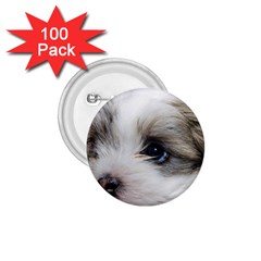 Sad Puppy 1 75  Buttons (100 Pack) 