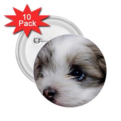 Sad Puppy 2 25  Buttons (10 Pack)  by trendistuff