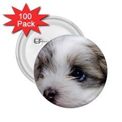 Sad Puppy 2 25  Buttons (100 Pack)  by trendistuff