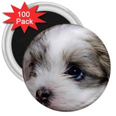 Sad Puppy 3  Magnets (100 Pack) by trendistuff