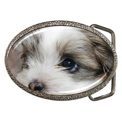 Sad Puppy Belt Buckles by trendistuff