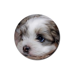 Sad Puppy Rubber Round Coaster (4 Pack)  by trendistuff