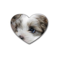 Sad Puppy Heart Coaster (4 Pack)  by trendistuff