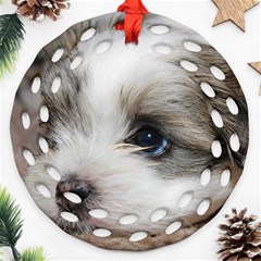 Sad Puppy Ornament (round Filigree)  by trendistuff