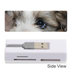 Sad Puppy Memory Card Reader (stick) 