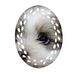 Sad Puppy Ornament (oval Filigree)  by trendistuff