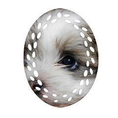 Sad Puppy Oval Filigree Ornament (2-side)  by trendistuff