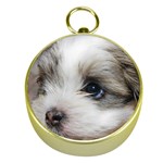 SAD PUPPY Gold Compasses Front