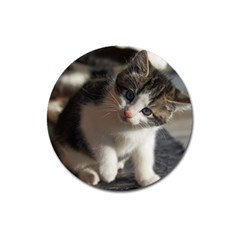 Questioning Kitty Magnet 3  (round) by trendistuff