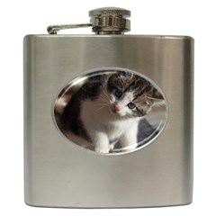 Questioning Kitty Hip Flask (6 Oz) by trendistuff