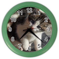 Questioning Kitty Color Wall Clocks by trendistuff