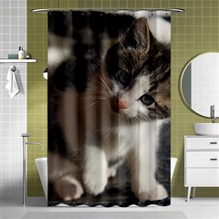 Questioning Kitty Shower Curtain 48  X 72  (small) 