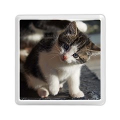 Questioning Kitty Memory Card Reader (square) 