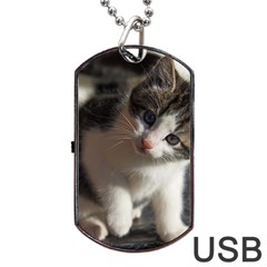 Questioning Kitty Dog Tag Usb Flash (two Sides) 