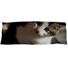 Questioning Kitty Body Pillow Cases (dakimakura) 