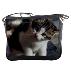 Questioning Kitty Messenger Bags by trendistuff