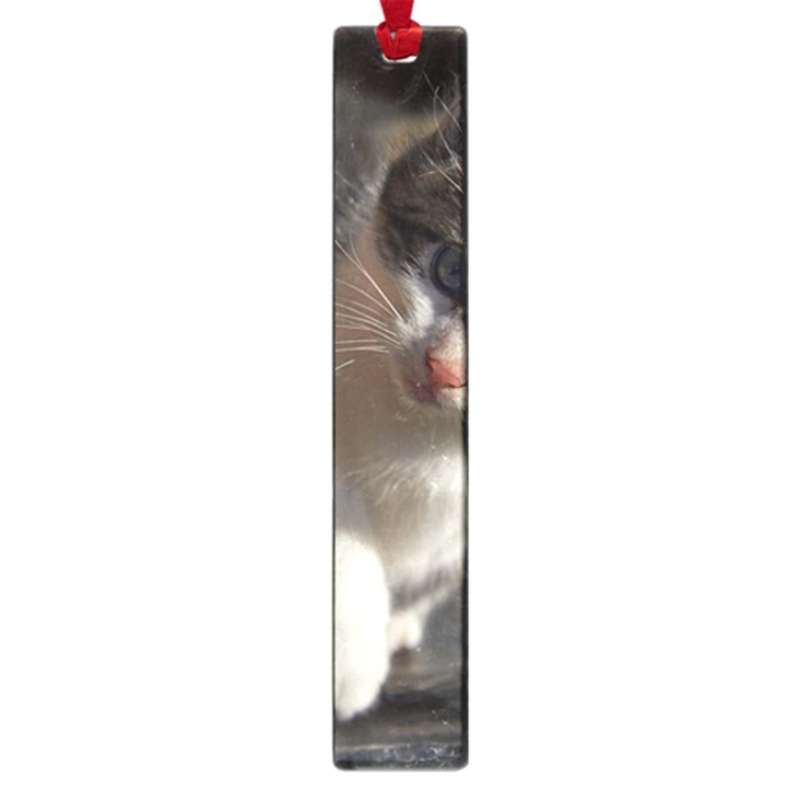 QUESTIONING KITTY Large Book Marks