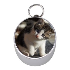 Questioning Kitty Mini Silver Compasses