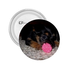 PUPPY WITH A CHEW TOY 2.25  Buttons