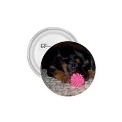 Puppy With A Chew Toy 1 75  Buttons by trendistuff