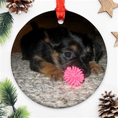 Puppy With A Chew Toy Ornament (round)  by trendistuff