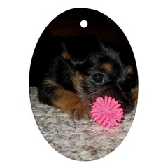 PUPPY WITH A CHEW TOY Ornament (Oval) 