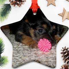 PUPPY WITH A CHEW TOY Ornament (Star) 