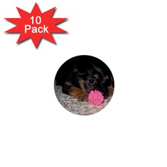 PUPPY WITH A CHEW TOY 1  Mini Buttons (10 pack) 