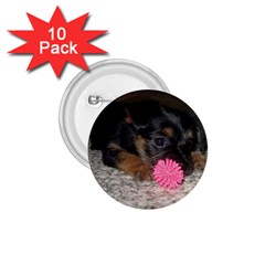 PUPPY WITH A CHEW TOY 1.75  Buttons (10 pack)