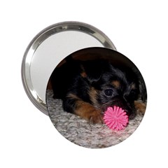 PUPPY WITH A CHEW TOY 2.25  Handbag Mirrors