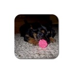 PUPPY WITH A CHEW TOY Rubber Square Coaster (4 pack)  Front