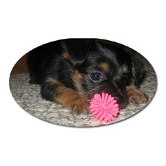 PUPPY WITH A CHEW TOY Oval Magnet