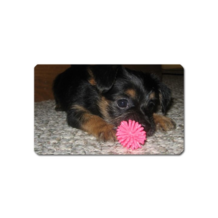 PUPPY WITH A CHEW TOY Magnet (Name Card)