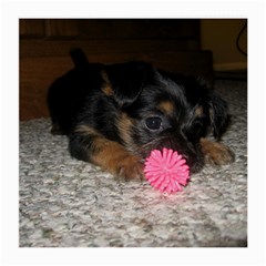 PUPPY WITH A CHEW TOY Medium Glasses Cloth