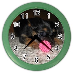 PUPPY WITH A CHEW TOY Color Wall Clocks