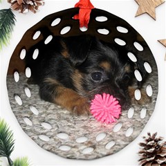 PUPPY WITH A CHEW TOY Round Filigree Ornament (2Side)