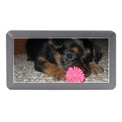 PUPPY WITH A CHEW TOY Memory Card Reader (Mini)