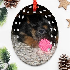 PUPPY WITH A CHEW TOY Oval Filigree Ornament (2-Side) 