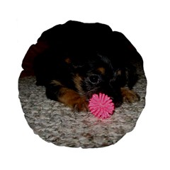 Puppy With A Chew Toy Standard 15  Premium Flano Round Cushions