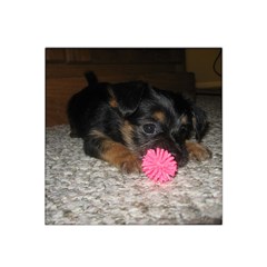 Puppy With A Chew Toy Satin Bandana Scarf