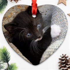 Pretty Blue-eyed Kitty Ornament (heart)  by trendistuff