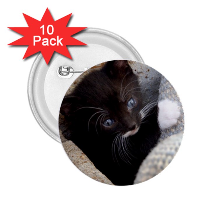 PRETTY BLUE-EYED KITTY 2.25  Buttons (10 pack) 