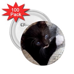 Pretty Blue-eyed Kitty 2 25  Buttons (100 Pack)  by trendistuff